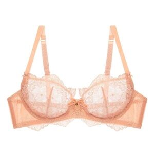 Dita Von Teese Lurex Lace Underwire Bra NWT!